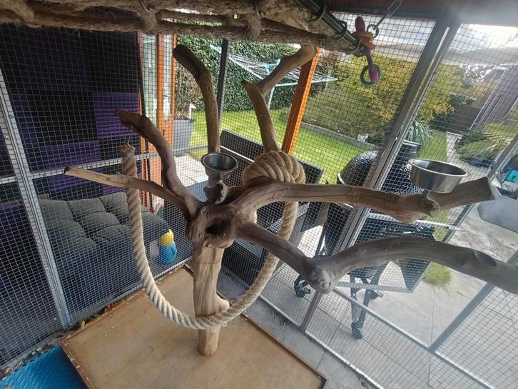 Zeer grote java boom (compleet), Dieren en Toebehoren, Vogels | Toebehoren, Zo goed als nieuw, Overige typen, Ophalen