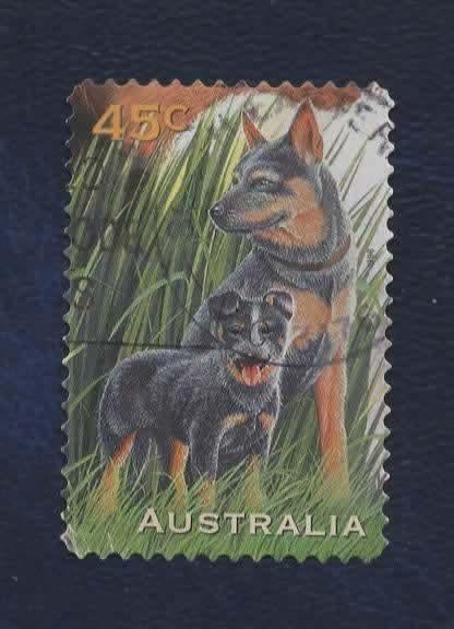 Fauna - Dieren - Hond met jong - Australie - 45ct - gebr, Verzenden, Gestempeld, Dier of Natuur