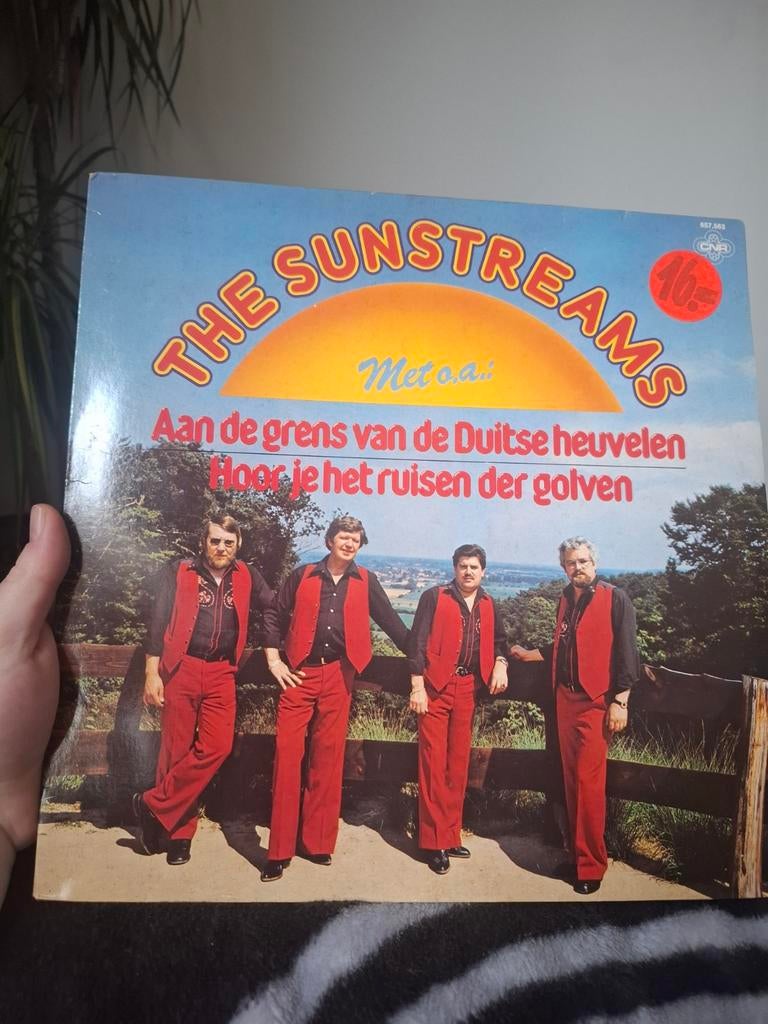 The Sunstreams LP - Aan de grens, Ophalen of Verzenden, Gebruikt, 12 inch