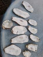 Oesterschelpen, Ophalen of Verzenden, Boek