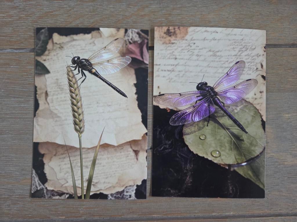 INSECTEN 6, Verzamelen, Ophalen, Paard