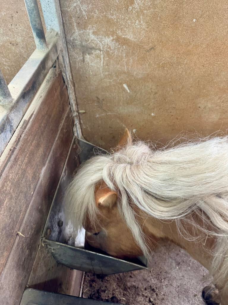 Voerbak paarden, koeien, schapen, Dieren en Toebehoren, Ophalen, Vee