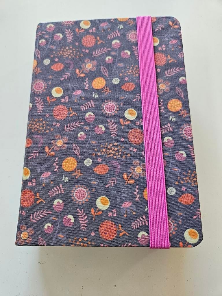 Engels Bijbeltje, Niv Bijbel, Nieuw, Ophalen of Verzenden