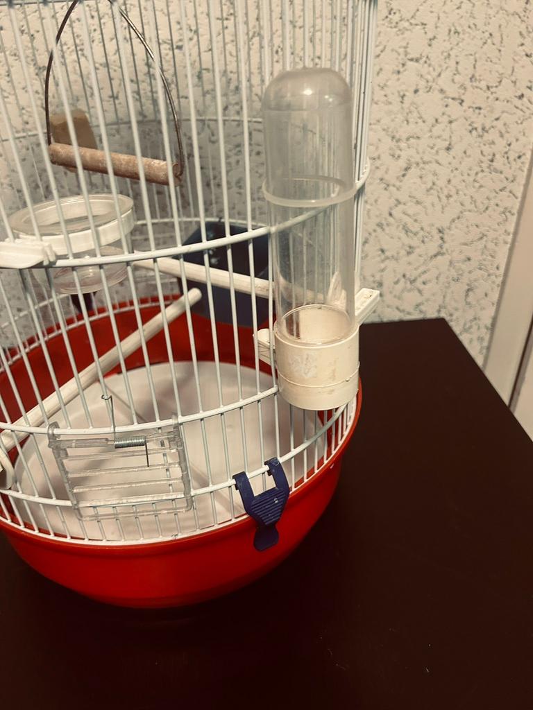 Bijna nieuw mooi vogel kooi, Ophalen of Verzenden, Zo goed als nieuw, Metaal, Vogelkooi