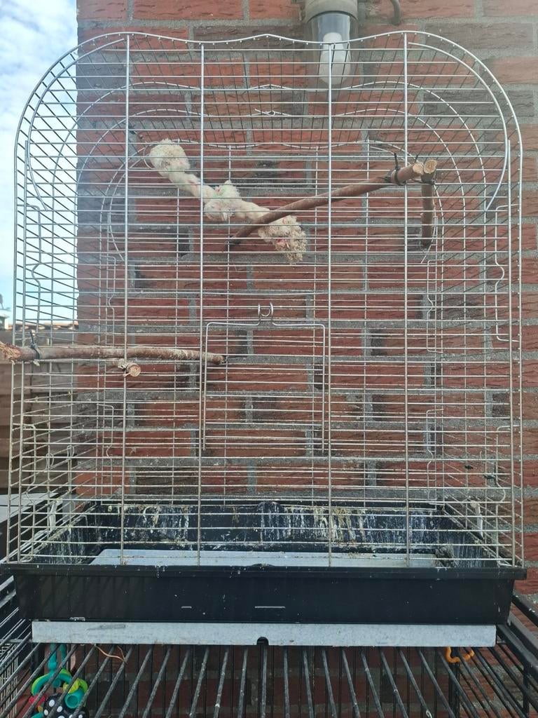 mooi vogelkooi, Dieren en Toebehoren, Vogels | Hokken en Kooien, Ophalen of Verzenden, Zo goed als nieuw, Metaal, Vogelkooi