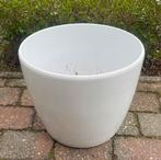 Grote bloempot wit, Ophalen, 40 cm of meer, Rond, Zo goed als nieuw