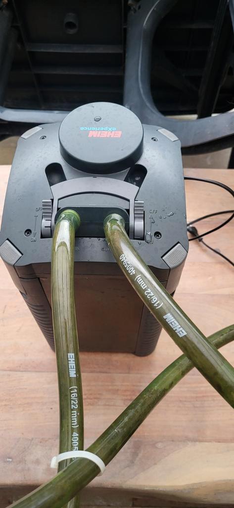 Eheim experience buitenfilter, Dieren en Toebehoren, Vissen | Aquaria en Toebehoren, Gebruikt, Filter, Inclusief slangen, Inclusief toebehoren