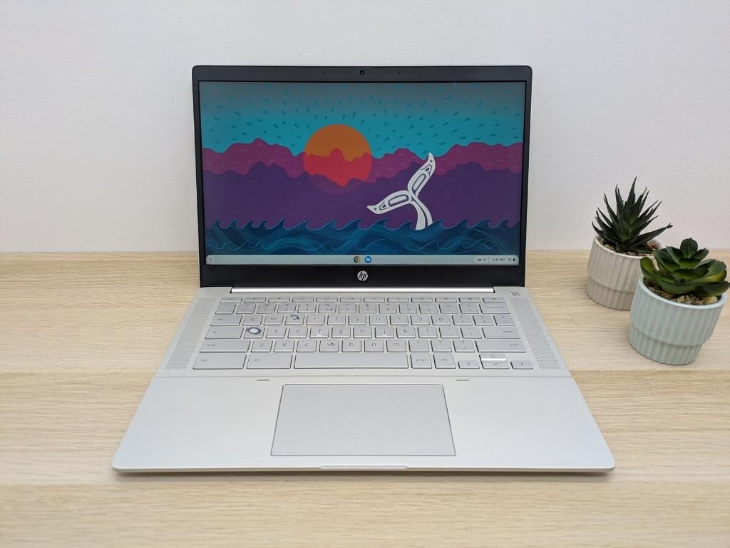 HP Pro c640 Chromebook - i5-10310U - 8GB RAM - 64GB - 14", Gebruikt, 8 GB, Ophalen of Verzenden, Hp