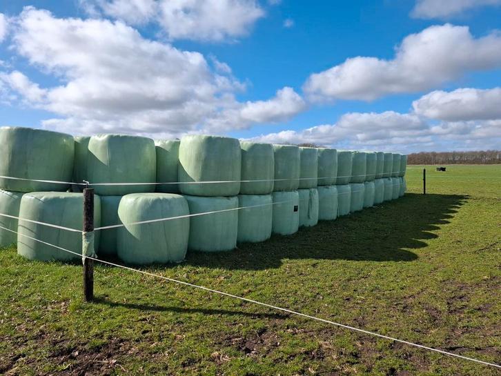 Paarden Hooi, Dieren en Toebehoren, Dierenvoeding, Vee, Ophalen of Verzenden