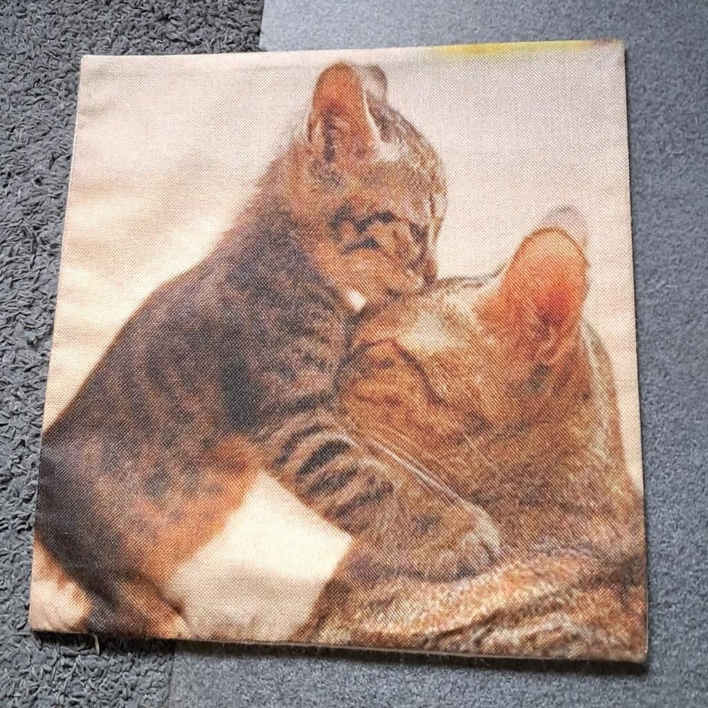 Kussenhoes " kat" (2x), Ophalen of Verzenden, Vierkant