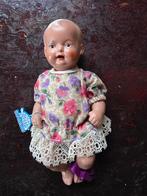 Oude Schildpad Babypop, Ophalen of Verzenden