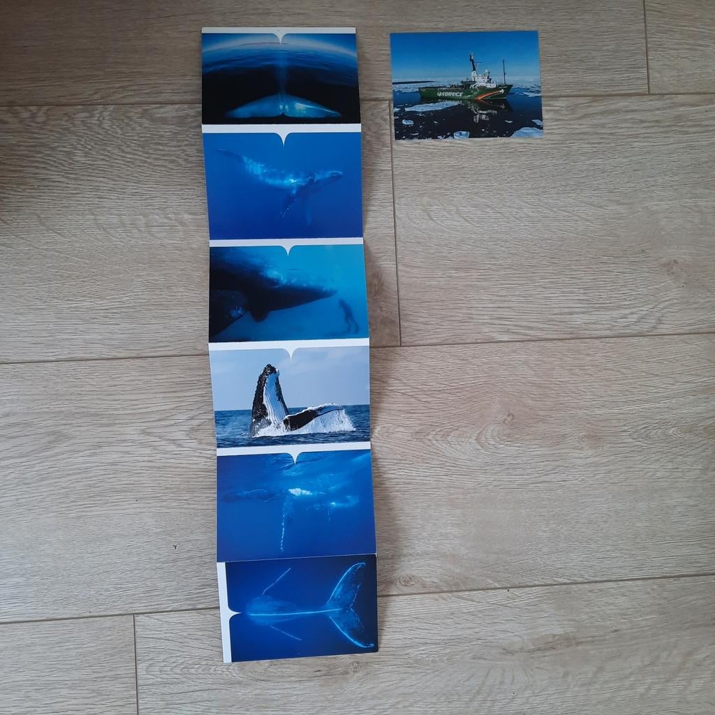 7 kaarten ansichtkaarten walvissen Greenpeace ongelopen, Ophalen of Verzenden, Ongelopen