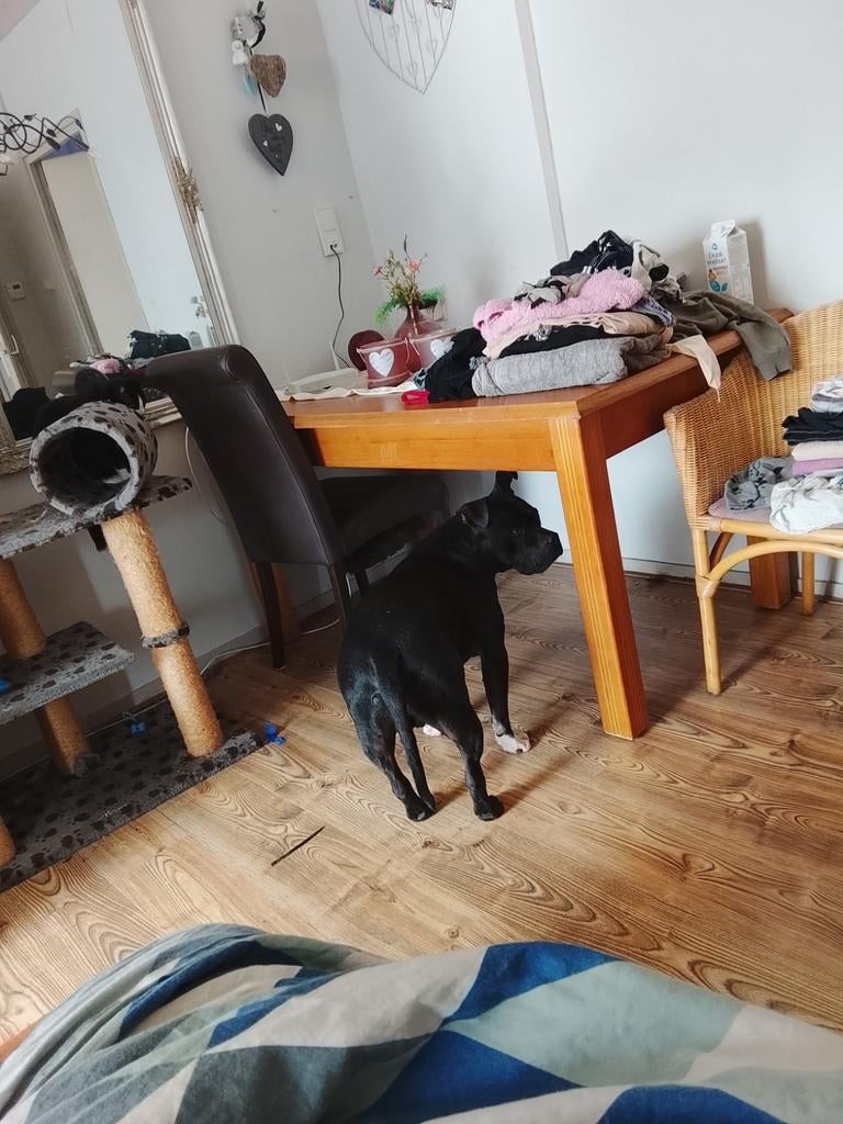 Blanke eiken eet tafel. Te koop en wandmeubel., Ophalen, Gebruikt