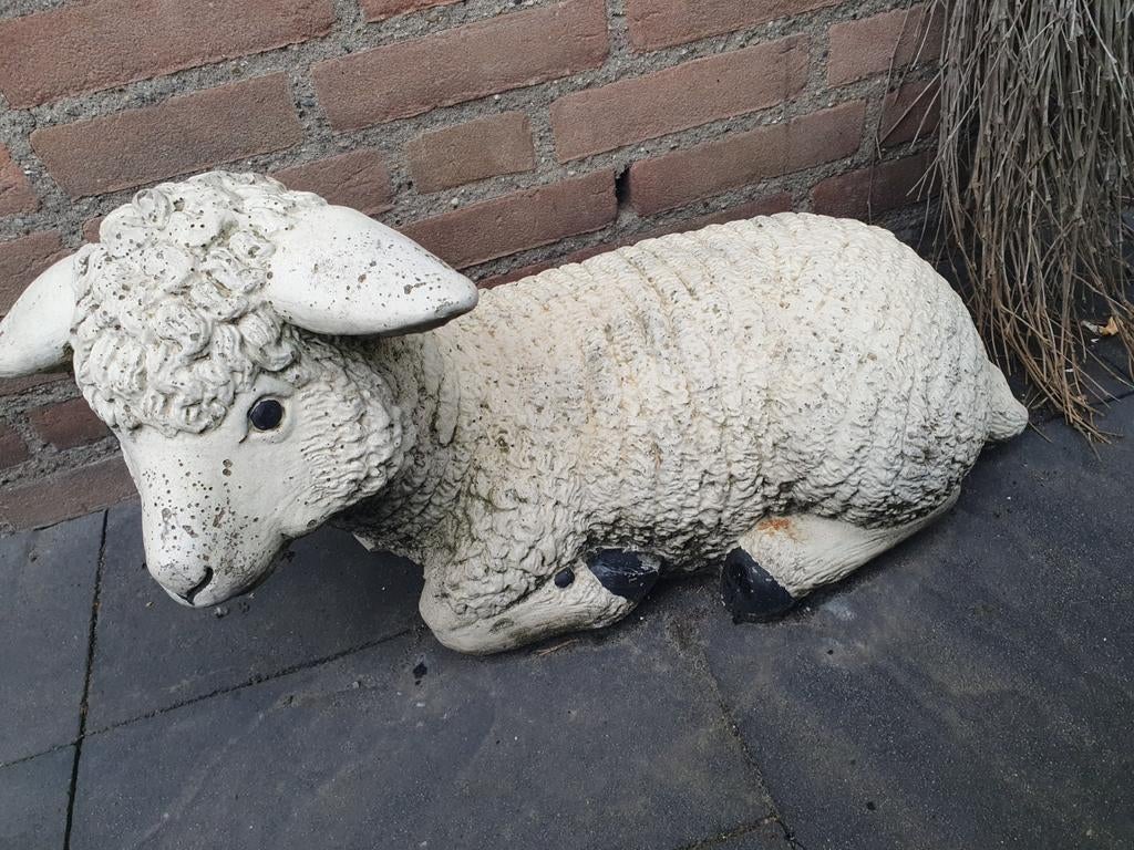 Decoratief lammetje van beton voor tuin of interieur, Tuin en Terras, Tuinbeelden, Ophalen, Gebruikt, Steen, Dierenbeeld