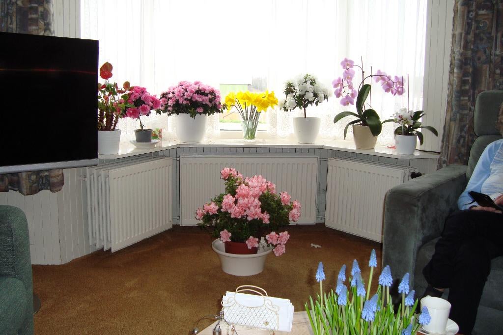 kamer te huur voor vrouw  metwoonruimte, 20 tot 35 m², Haarlem