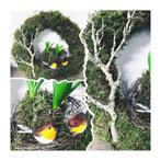 Mooie moskrans met vogeltjes en bloembollen, Ophalen, Nieuw, Nvt, Nvt