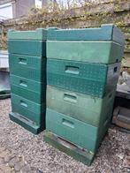 Bijenkasten segenberg, Bijen