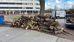 Gratis Haardhout, Minder dan 3 m³, Ophalen