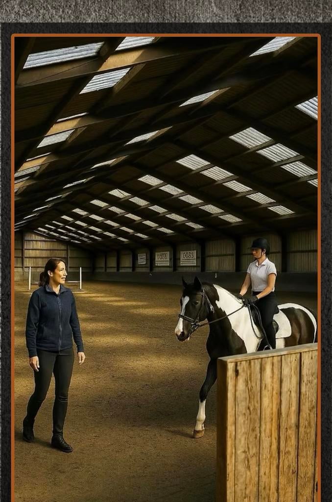 Privelessen op een manege paard, 2 of 3 paarden of pony's
