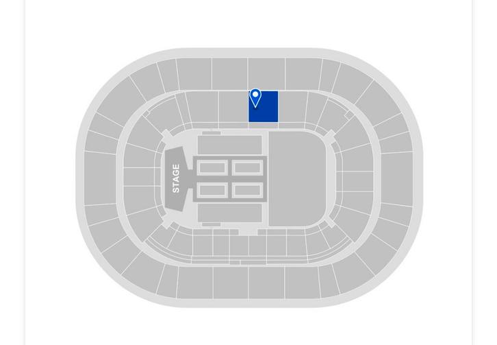 6x Harry Styles 26 mei !!, Tickets en Kaartjes, Concerten | Pop, Drie personen of meer, Mei