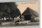 Ede schapen op de Ginkelsche heide uitg J. Kramer, Verzenden, 1920 tot 1940, Ongelopen, Gelderland
