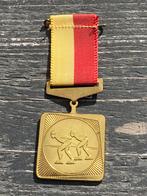 Medailles schaatsen Plassen Tocht Ter Aar 1985, Postzegels en Munten, Penningen en Medailles, Ophalen of Verzenden, Overige materialen