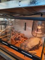 Terrarium, 0 tot 2 jaar