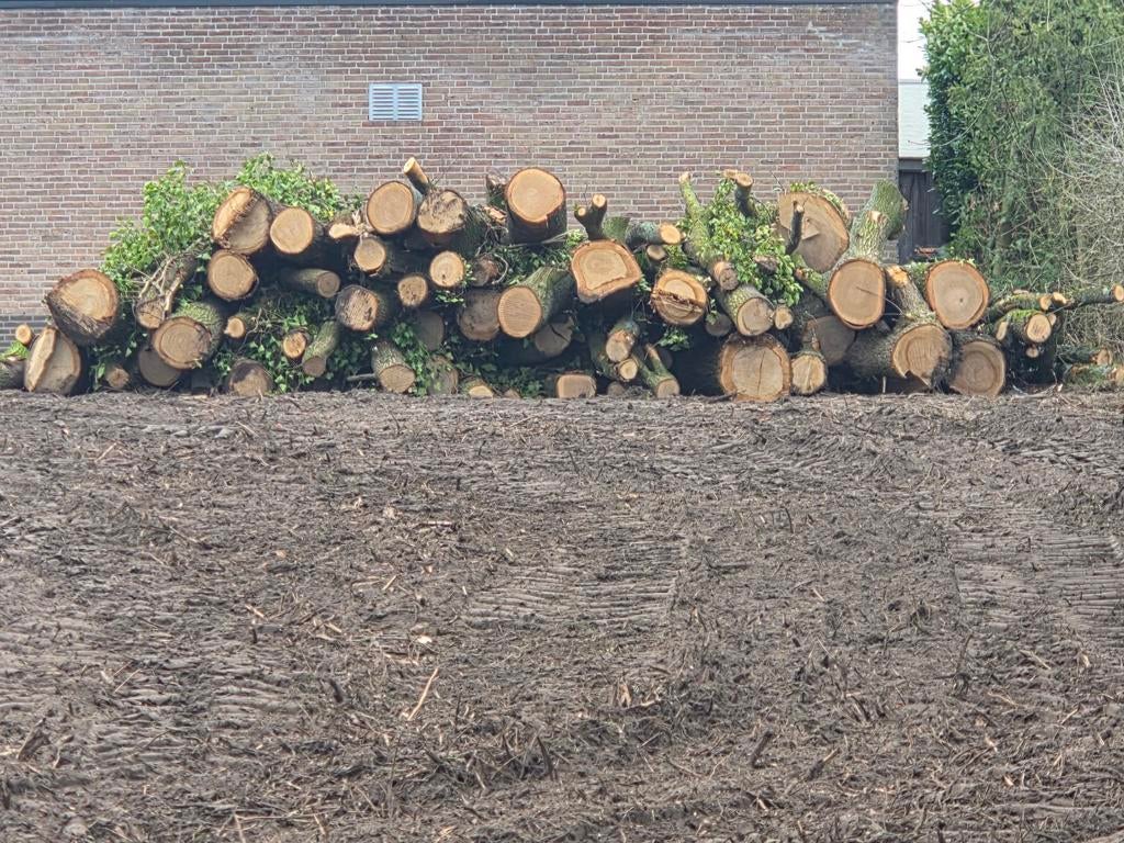 Eiken haardhout, 6 m³ of meer, Ophalen, Eikenhout, Stammen