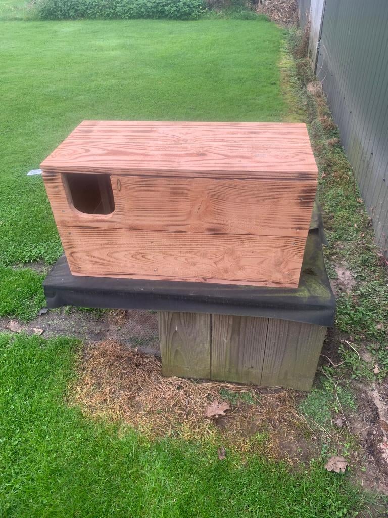 Kerkuilenkast handgemaakt op voorraad, Tuin en Terras, Vogelhuisjes en Vogelbaden, Nieuw, Ophalen of Verzenden