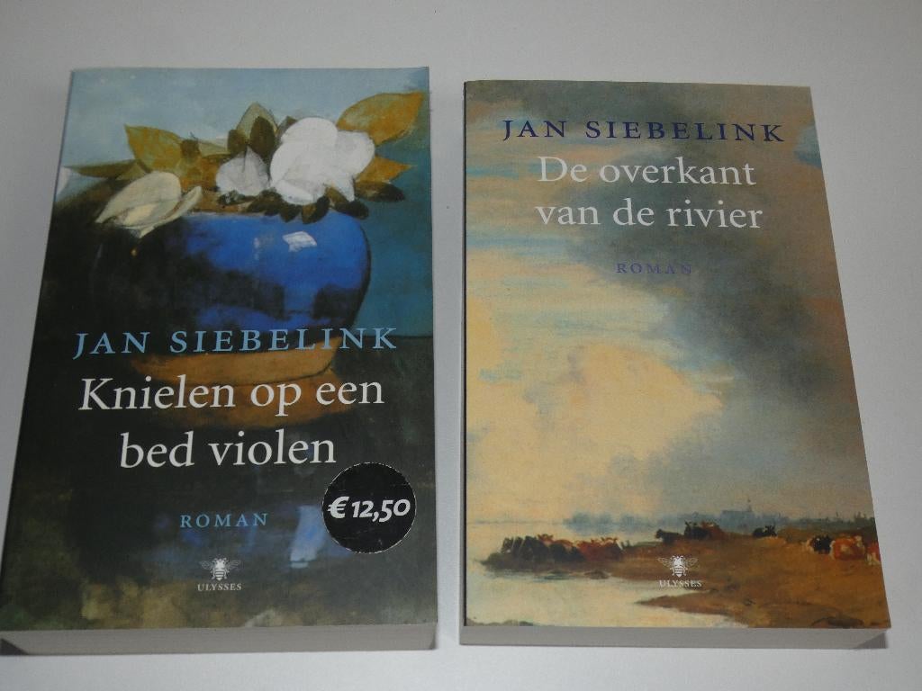Te koop 2 boeken van Jan Siebelink, Jan Siebelink, Ophalen of Verzenden, Zo goed als nieuw, Nederland