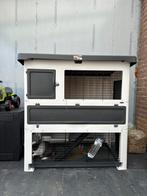 Konijn - Grand Lodge - en toebehoren, Dieren en Toebehoren, Mannelijk, Klein, 0 tot 2 jaar