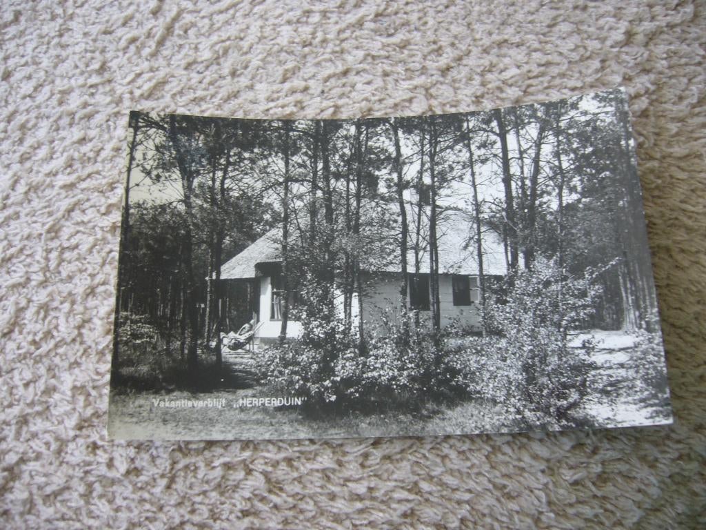 HERPEN N. BR.  =  VAKANTIEVERBLIJF HERPENDUIN, Ophalen of Verzenden, 1940 tot 1960, Gelopen, Noord-Brabant