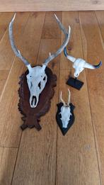 Gewei, Verzamelen, Ophalen, Zo goed als nieuw, Hert, Gewei of Kop