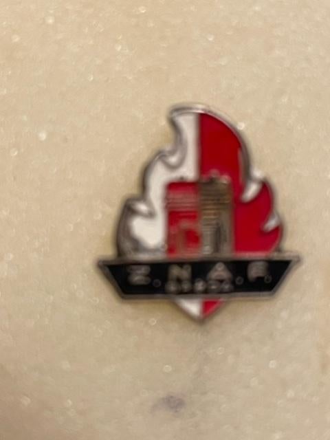 ZNAF speldje, Verzamelen, Speldjes, Pins en Buttons, Ophalen of Verzenden, Zo goed als nieuw, Overige onderwerpen