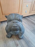 Engelse Buldog, Ophalen, Zo goed als nieuw, Dier