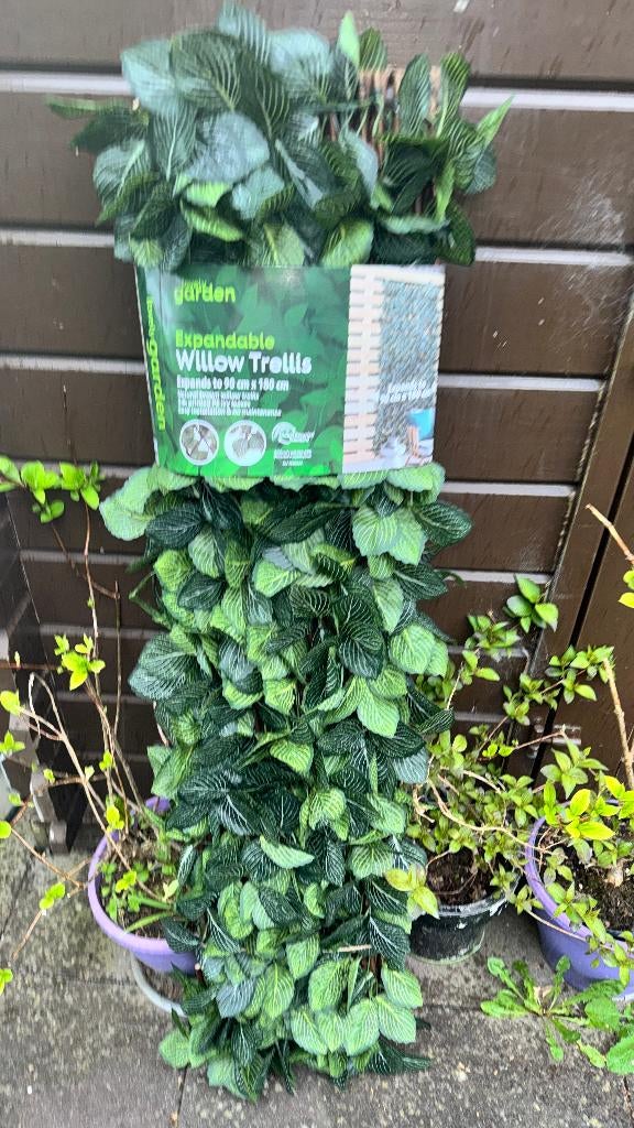 TUIN KLIMOP KUNSTHAAG 3x, Tuin en Terras, Tuinwanddecoratie, Ophalen, Nieuw