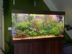 Juwel rio 350 aquarium met meubel, Ophalen, Zo goed als nieuw, Gevuld zoetwateraquarium
