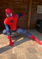 wie wil er nu niet spiderman of andere held op feestje? 20 e, Ophalen of Verzenden, Zo goed als nieuw, Overige