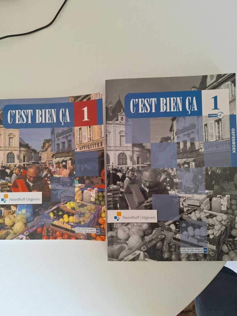 Frans taal boeken deel 1 c'est bien ca, Boeken, Ophalen of Verzenden, Zo goed als nieuw, M. Knop