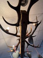 Unieke Hertengewei Kroonluchter - Rustieke Plafondlamp, Ophalen of Verzenden, Gebruikt, Hout, 50 tot 75 cm