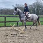 Springbalk, Hindernis, Cavaletti, Sprongetje, Balk, Sales@veldomheiningen.nl, Schaijk, Nieuw, Ophalen of Verzenden
