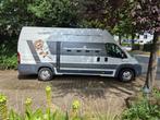 Paardenwagen Ducato 3.0, 158 pk, Dieren en Toebehoren, Paarden en Pony's | Trailers en Aanhangwagens, Ophalen, Gebruikt, Aluminium