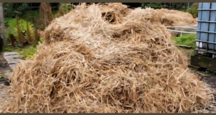 Stro, Dieren en Toebehoren, Schapen, Geiten en Varkens, Schaap, Meerdere dieren