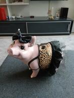 Spaarvarken collectors item, Ophalen, Zo goed als nieuw, Overige typen, Overige merken