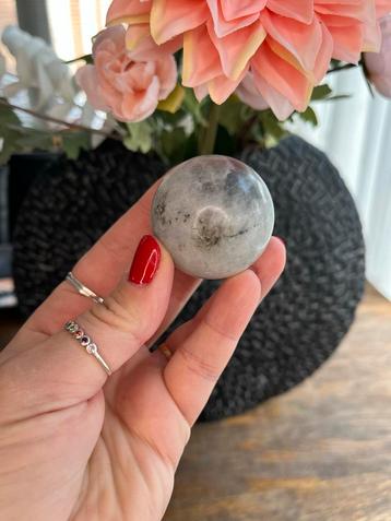 Labradoriet Bol - Oranje Flash beschikbaar voor biedingen