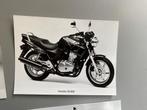 4 originele Honda fabrieks foto’s (jaren 80), 1960 tot 1980, Foto, Ophalen of Verzenden, Zo goed als nieuw