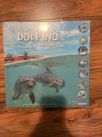 Dolfino Bordspel - Leer alles over dolfijnen!, Vijf spelers of meer, Ophalen, Nieuw
