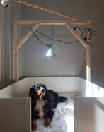 Grote werpkist te huur, Dieren en Toebehoren, Hondenhokken, Ophalen, Zo goed als nieuw, 110 cm of meer, 100 cm of meer