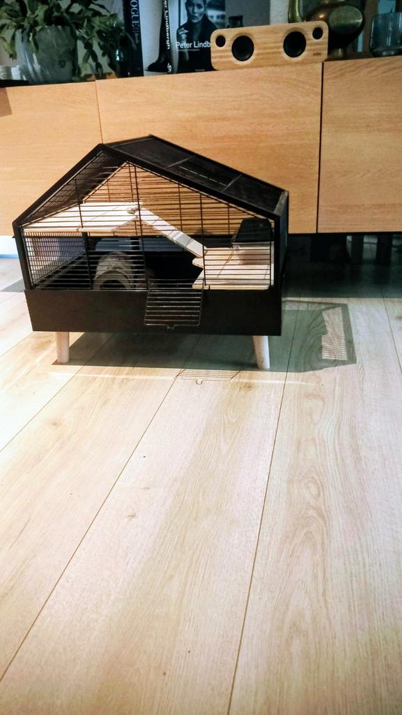 Terug

Beeztees Ayaz - Knaagdierenkooi - 58x38x46 cm - Zwart, Dieren en Toebehoren, Knaagdieren en Konijnen | Hokken en Kooien