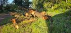Openhaardhout populieren, Tuin en Terras, Haardhout, Ophalen, Overige houtsoorten